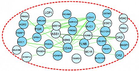 functional protein–protein interaction networks - STRING