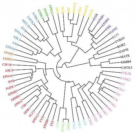 Clustering proteins - dendrogram