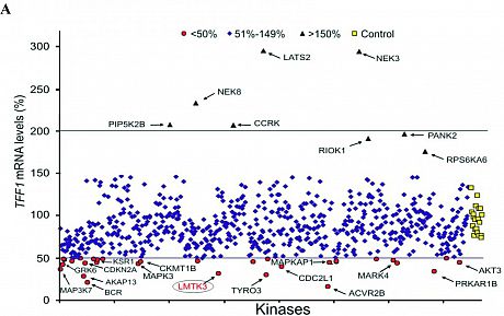 siRNA Screening graph for legurators of estrogen receptor transcriptional activity