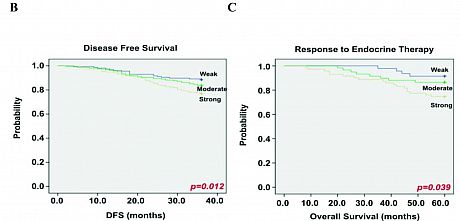 Clinical survival data