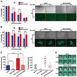 LMTK3 and doxorubicin