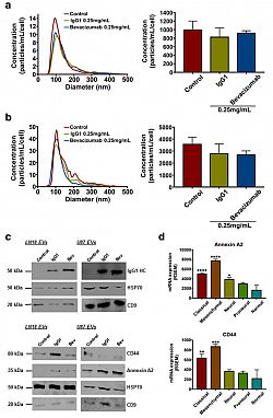 Extracellular vesicles in glioblastoma