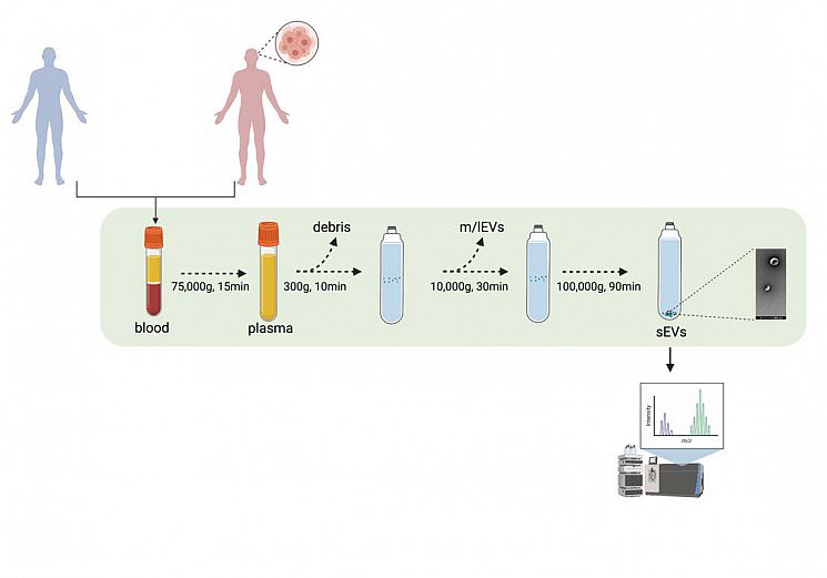 Biomedicinces figure 1
