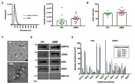 Biomedicines Figure 2