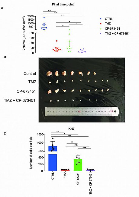 Oncogene figure 3