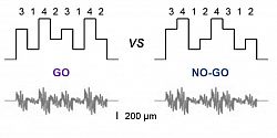 Sequence task schematic