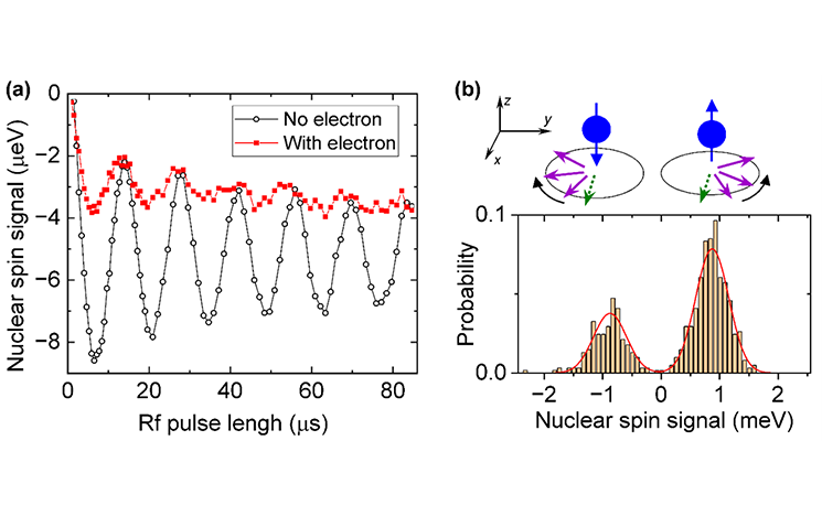 Graphs showing nuclear spin signal