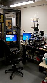 upright microscope; patch clamp and piezo-driven solution exchange setup