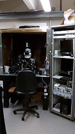 upright microscope; dual patch clamp setup