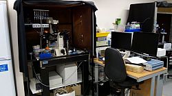 inverted microscope; patch clamp and piezo-driven solution exchange setup