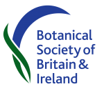 BSBI logo sent by Alex Lockton