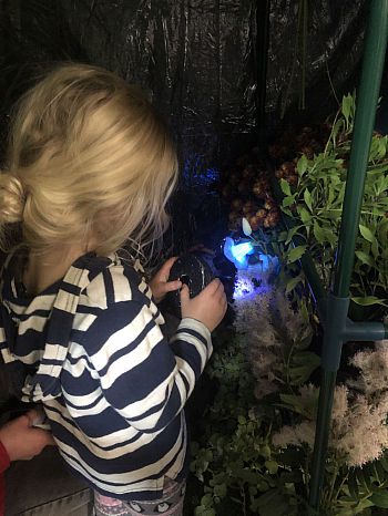 girl in night garden