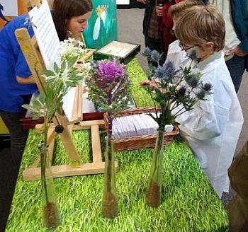 children in display