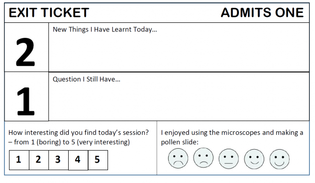 optional feedback