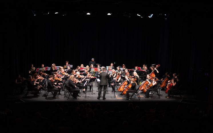 University of Sussex Symphony Orchestra