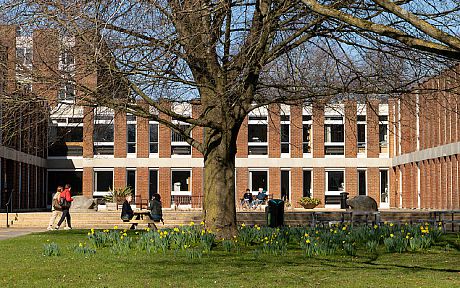 Daffodils in front of Arts A building