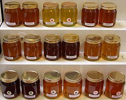 Shelf of honey jars