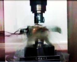 Rock sample exploding under applied stress