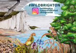 WildBrighton project