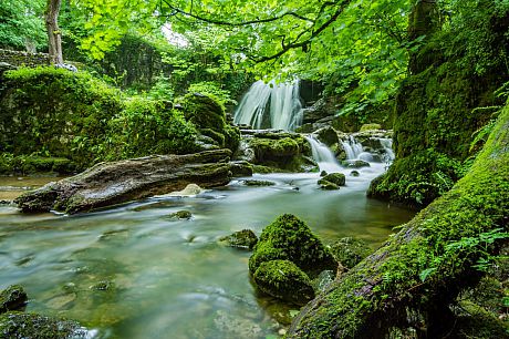 A waterfall flowing into a river in a rain forest