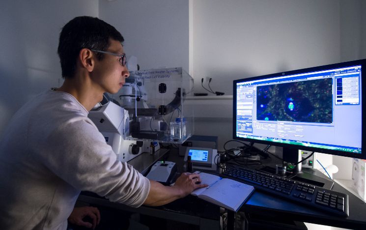 A member of faculty conducting genetics research at a computer