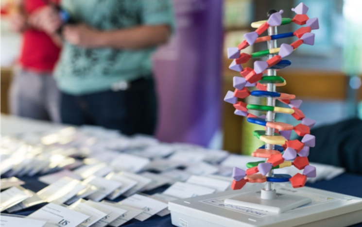 Registration at an event with name tags and a model of DNA on a table
