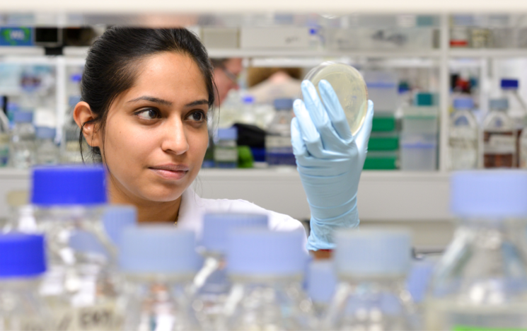 A student holding up a petri dish in a lab