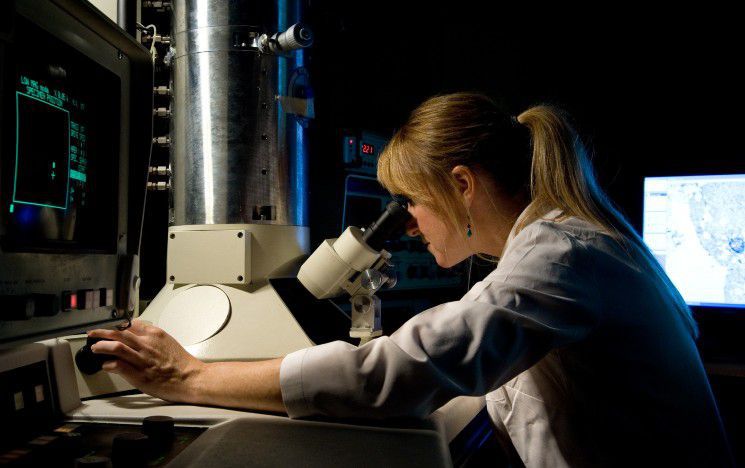 A PhD student working in a Genetics lab.