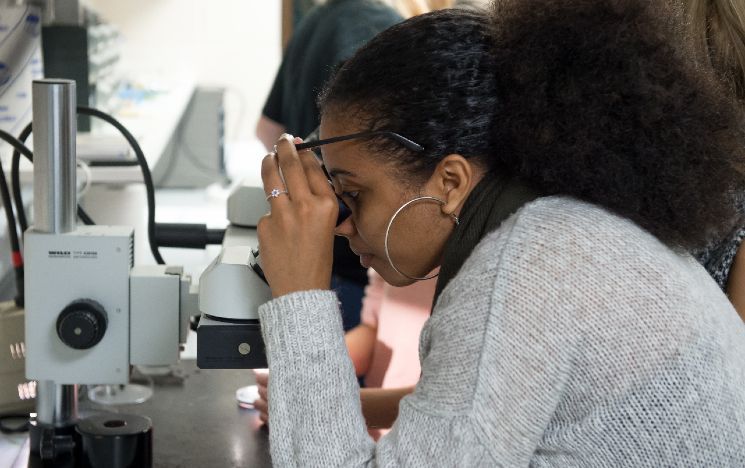 A student looking down a microscope