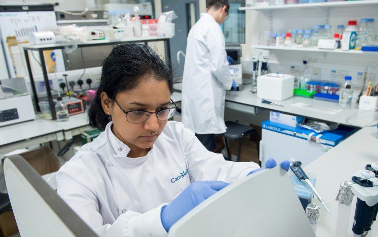 A scientist conducting an experiment in the Genome Damage and Stability Centre lab