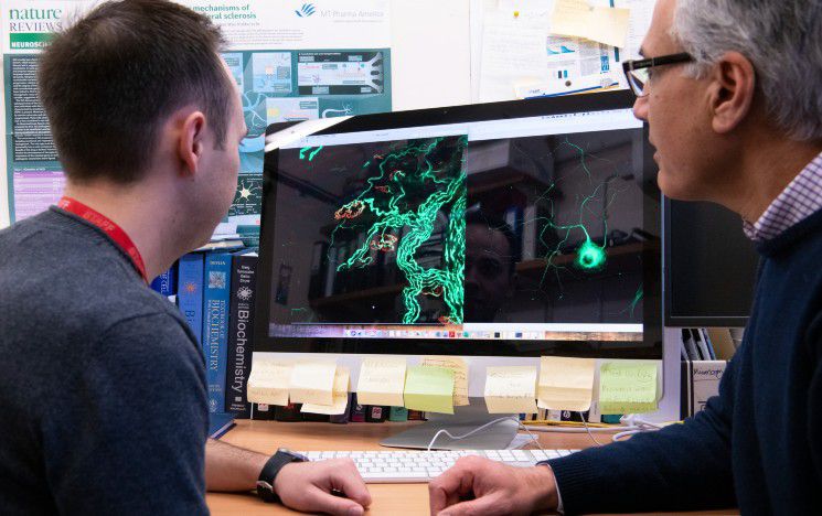 Two neuroscientists looking at a PC showing images of neurones