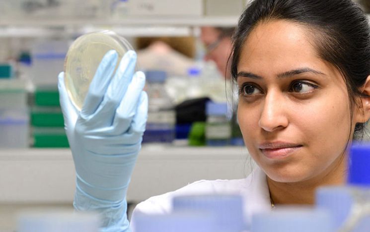 A scientist holds up a petri dish