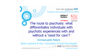 TW SPT RD conf screenshot First slide of Emmanuelle Peters' SPFT RD conference talk June 2012