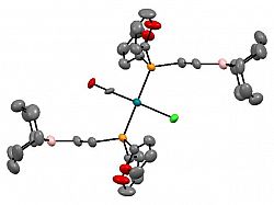 a Rhodium Chorocarbonyl bis(difuranyl(boraorganyl)phosphane) complex