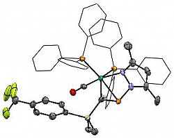 Molecular structure of  [Ru{eta-1;eta-2-P(pz*)=C(SiMe2C6H4CF3)H}(CO)(PPh3)2]