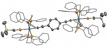 Through-conjugated bis(ethynyl)benzene bridged biruthenium bis-eta-1 phosphaalkyne complex