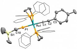 Molecular structure of [Ru(dppe)2(CCC6H4Me)(PCSiMe3)]+