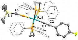Molecular structure of [Ru(dppe)2(CCC6H4F)(PCSiMe3)]+