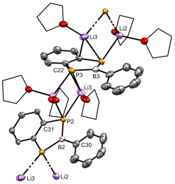 The Benzodiphosphaborolediide dilithium salt as the - oligomeric - thf.