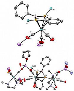 The pi-bound benzodiphosphaborolediide complex with molybdenum(0)