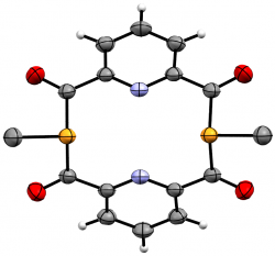 The pyridyl-derived diphosphametacyclophane