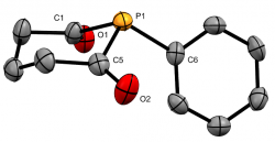 The P-phenyl phosphinane