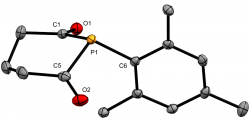 The P-Mesityl Phosphinane