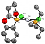 cis-Pt complex of the P-phenylphosphinane and PEt3