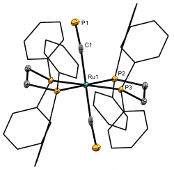 Our bis(cyaphido) complex, as an x-ray structure