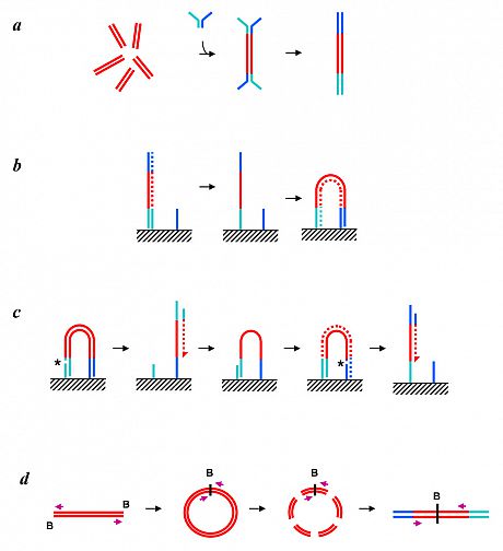 DNAseq