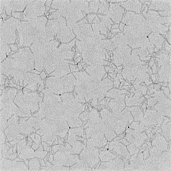 Nanosynth