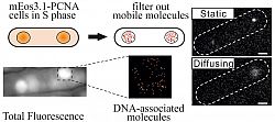 figure2 Plos Genetics