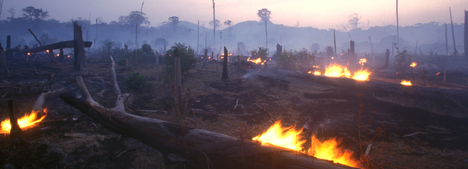 Climate Science and Society