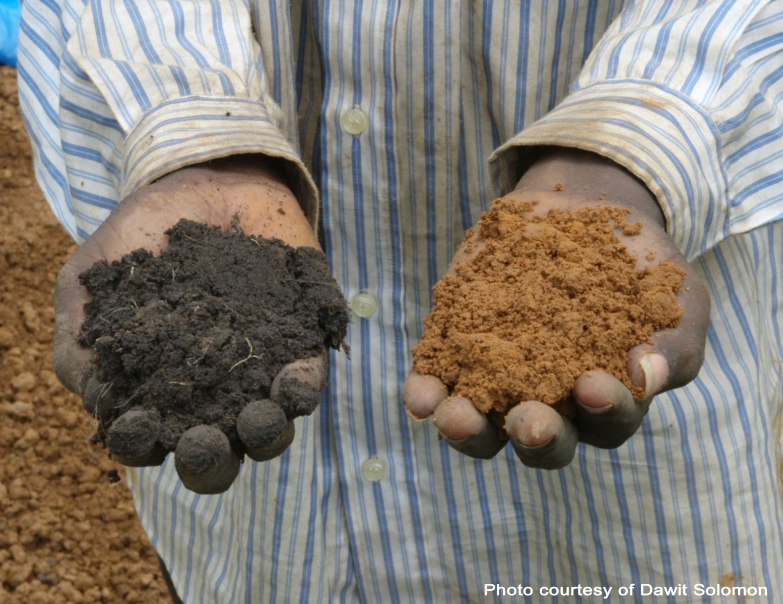 A person holding two soils of different colours, one in each hand